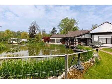 bungalow à vendre à de schrieken 49 herselt (rbw57179)