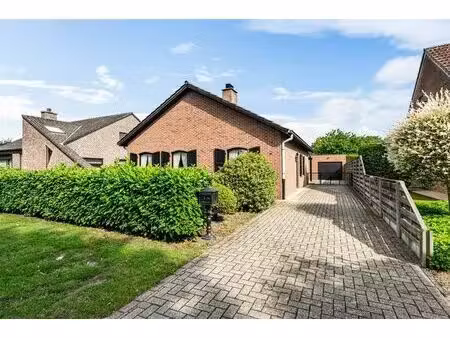 maison à vendre à koolmeesstraat 9 mol (rbw57297)