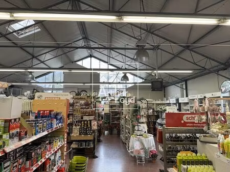 vente commerce nemours 77140 900m²
