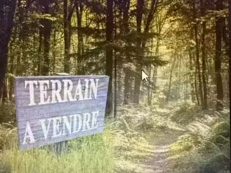 vente terrain 20000 m² à sagy (71580)  5 842 €