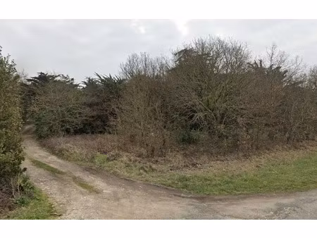 vente terrain 1139 m² à la rochelle (17000)  14 000 €