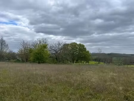 vente terrain 2196 m² à ribagnac (24240)  21 960 €