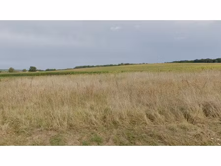 vente terrain 1000 m² à saint-agne (24520)  21 600 €