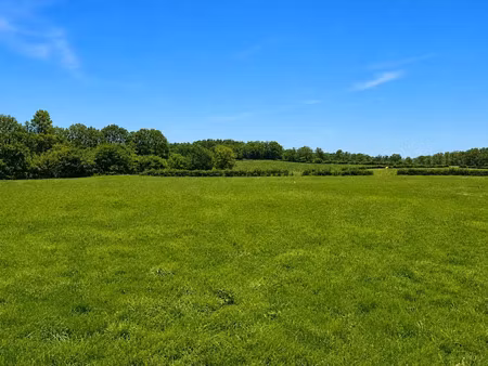 vente terrain 2100 m² à nontron (24300)  15 000 €