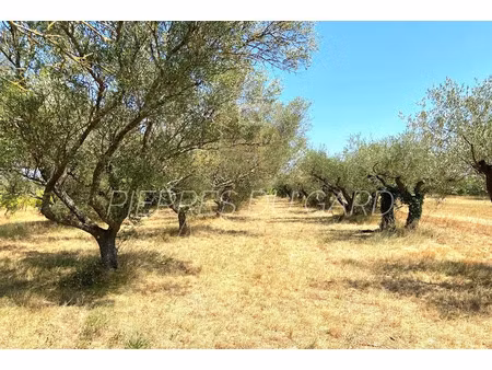 vente terrain à castillon-du-gard (30210)  30 000 €