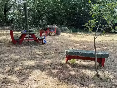 vente terrain 5512 m² à saint-sylvestre-pragoulin (63310)  20 000 €