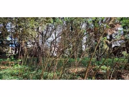 terrain saint-brevin-les-pins (44)