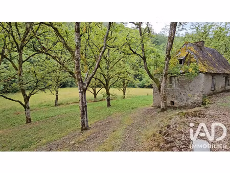 vente maison 3 pièces 40 m² altillac (19120)