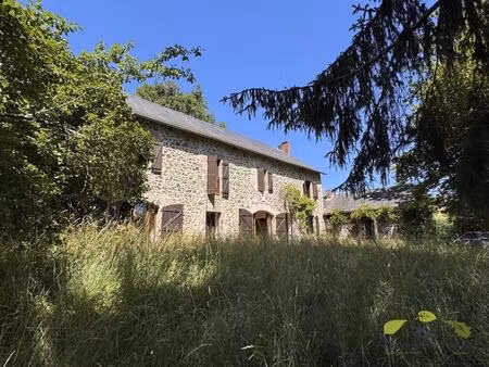 vente maison 7 pièces 232 m² chamberet (19370)