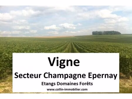 en vente terrain constructible 0 5 ares – 5 000 € |épernay