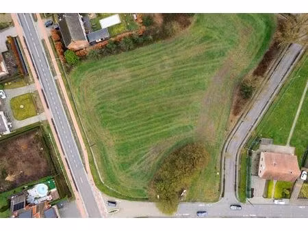 terrain à vendre à maaiwanters herselt (rbw57255)