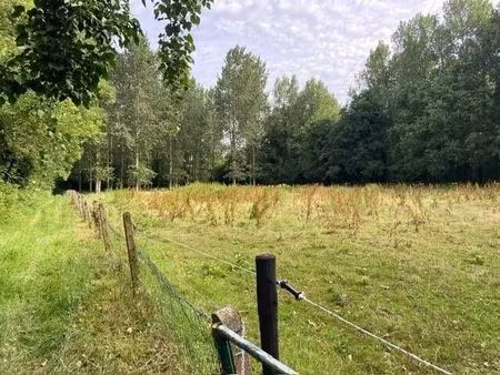 terrain agricole à vendre à langedijk z/n vorst (rbw57324)