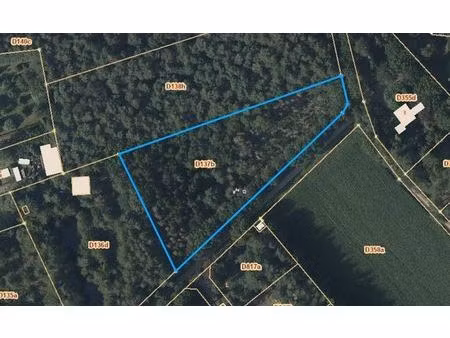 terrain agricole à vendre à lammerheide d137b gierle (rbw57357)
