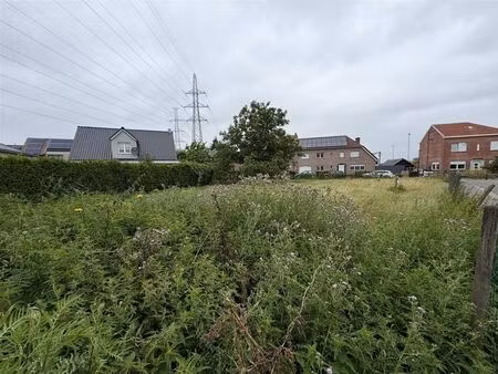 terrain à vendre à ringlaan 34 asse (rbw56636)