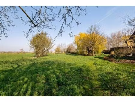 terrain à vendre à beerveldestraat 35 lokeren (rbw56642)