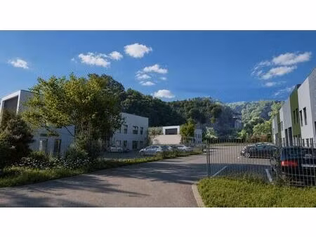 vente local d’activités vienne 38200 195m² à 2692m²