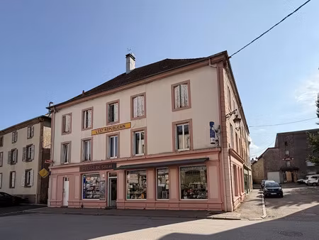 vente locaux professionnels 240 m² à senones (88210)  80 000 €