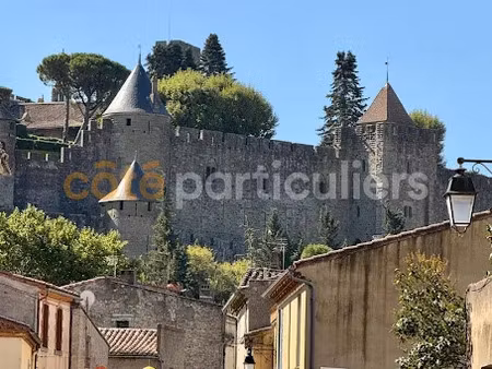 vente locaux professionnels 0 pièces à carcassonne (11000)  125 000 €