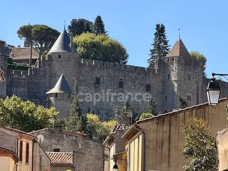 vente locaux professionnels 3 pièces 50 m² à carcassonne (11000)  125 000 €
