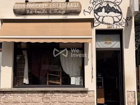 vente locaux professionnels 110 m² à la grave (05320)  299 000 €