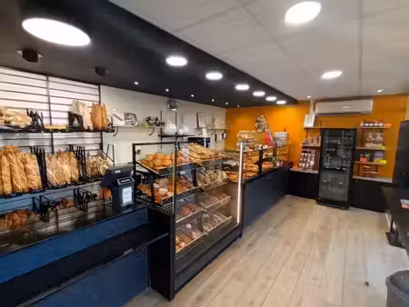 vente locaux professionnels 100 m² à olby (63210)  270 000 €