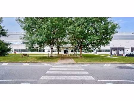 location local d'activités 634 m² à 6 903 m²