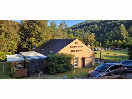 vente locaux professionnels 11577 m² à grand-vabre (12320)  424 500 €