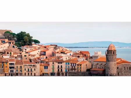 vente locaux professionnels 4 pièces 180 m² à roquebrune-cap-martin (06190)  749 000 €