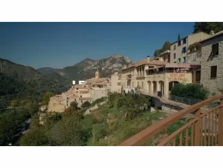 vente locaux professionnels 10 pièces 500 m² à sainte-agnes (06500)  1 360 000 €