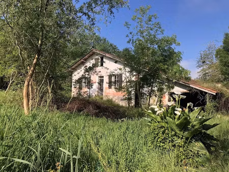 vente maison 3 pièces 76 m² à poyanne (40380)  119 000 €