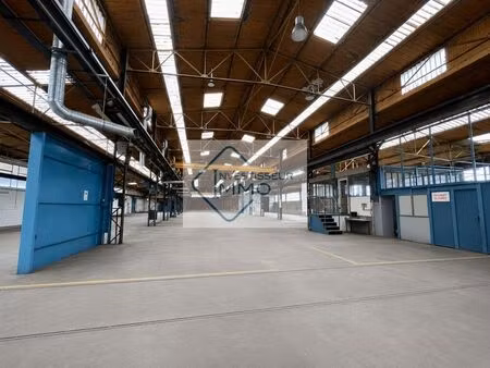 vente entrepôt meaux 77100 3895m²