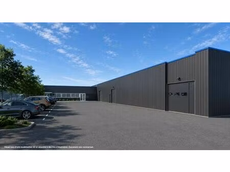 vente local d’activités ormes 45140 810m²