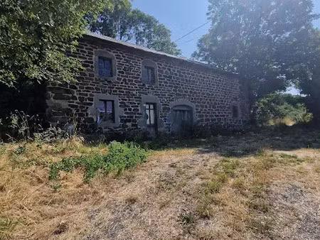 vente ferme 5 pièces 240 m² à saint-front (43550)  130 000 €