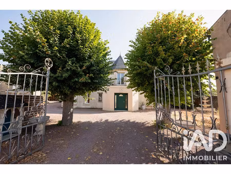 vente maison 13 pièces 280 m² doué-en-anjou (49700)