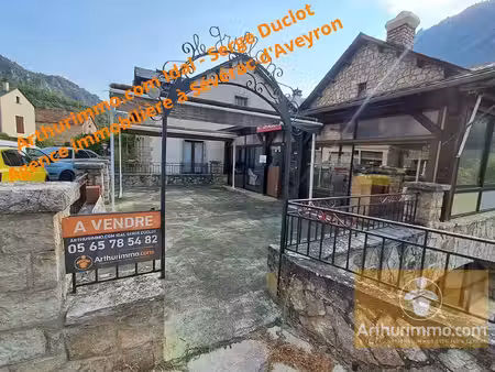 vente maison 16 pièces 380 m² massegros causses gorges (48210)
