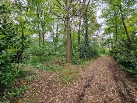 terrain à vendre à hechtel € 10.000 (lqn1p) - engel & völkers noord-limburg | zimmo