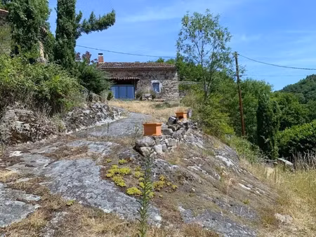 vente maison 11 pièces 315 m² à issoire (63500)  385 000 €