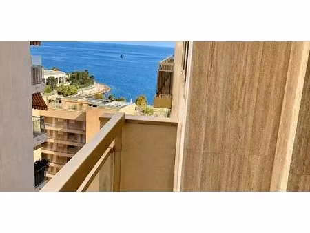 appartement avec terrasse monaco (98)