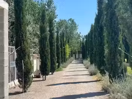 vente maison 6 pièces 300 m² à bédarrides (84370)  735 000 €