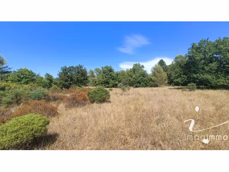 terrain agricole avec un puits