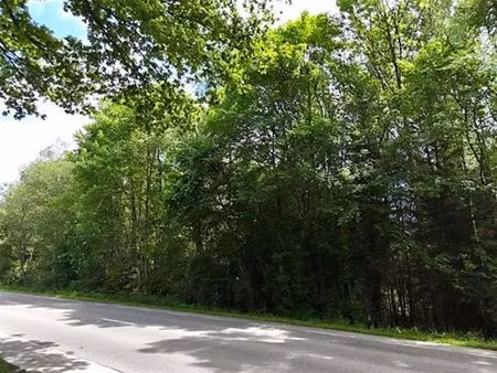 terrain à vendre à saint-hubert € 80.000 (kx7ns) - comptoir foncier | zimmo