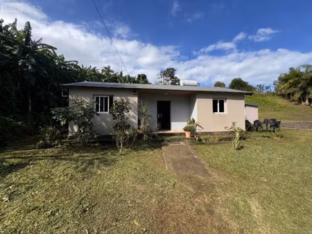 maison de luxe à vendre à petite-île