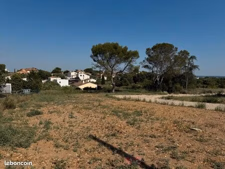 terrain 429 m² mus