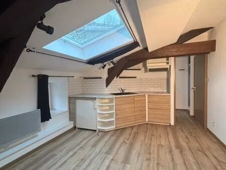 appartement 1 pièce 19 m²