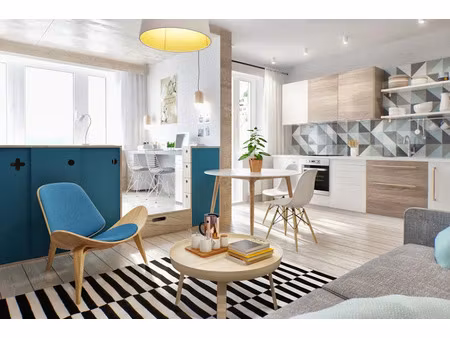 vente appartement 2 pièces 50 m² à villeurbanne (69100)  290 000 €