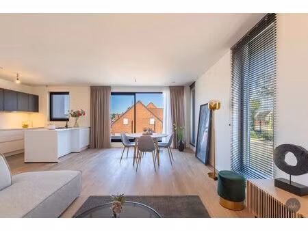 appartement à louer à pastoriestraat 37 baal (rbw57482)