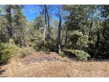 vente terrain 10380 m² flayosc (83780)