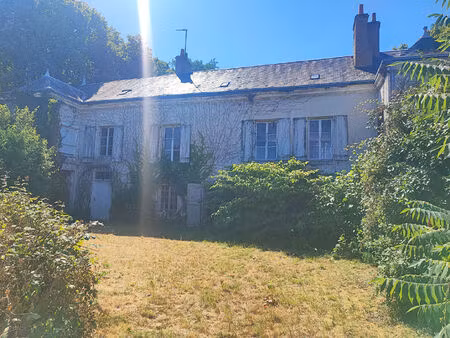 st jean de braye propriété du 18ème siècle d'une surface de 450 m² avec un par arboré de 1