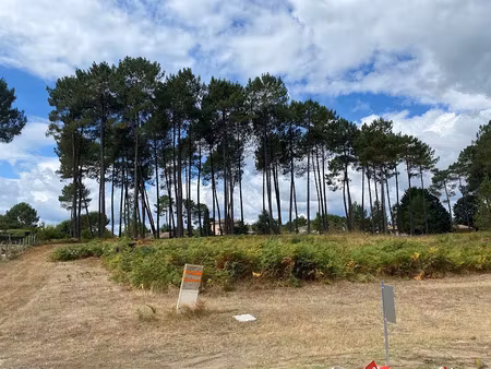 vente terrain 400 m² à avensan (33480)  119 000 €