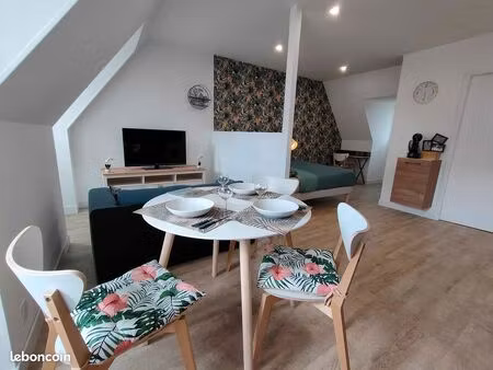 centre-ville grand studio refait à neuf et meublé